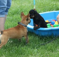 IMG_5012.JPG